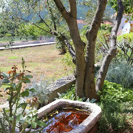 アパート By The Sea Ston, Peljesac - 10226