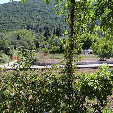 Lägenhet By The Sea Ston, Peljesac - 10226 *