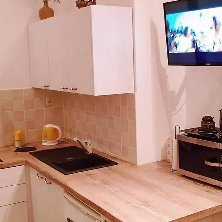 By The Sea Ston, Peljesac - 10226 アパート マリ・ストン